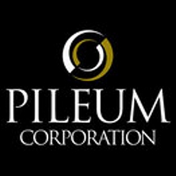 Pileum