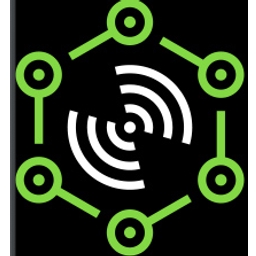 PIONEER DIGITAL SOLUTIONS LTD