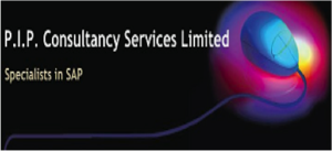 Pip Consultancy Services Ltd