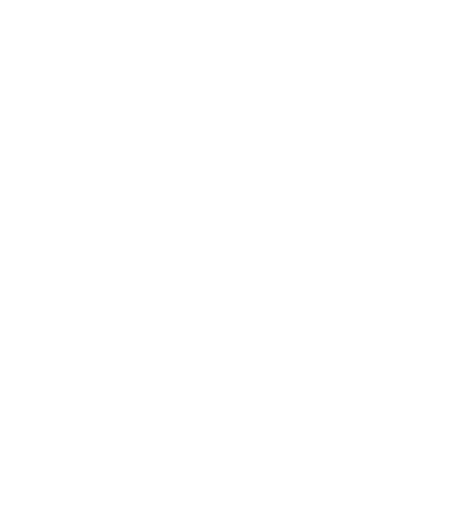 Primelo Cyber