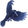 Raven Computers Ltd