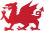 Red Dragon I.T. Ltd.