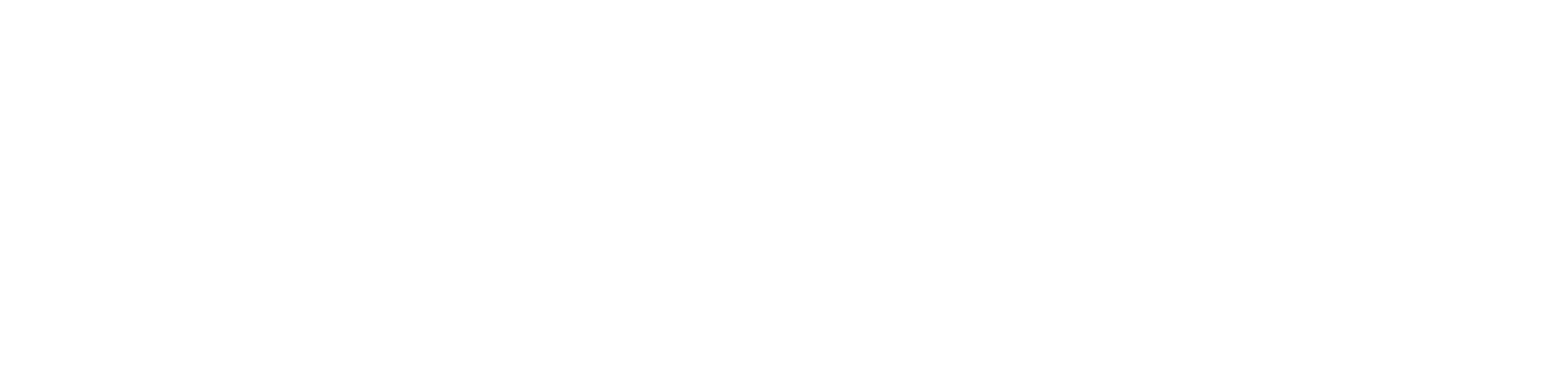 RIVI