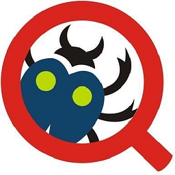 QA Mentor