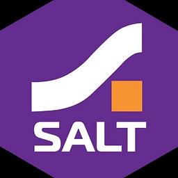 Salt Cybersecurity