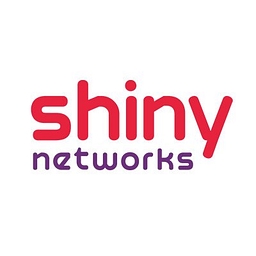 Shiny Networks