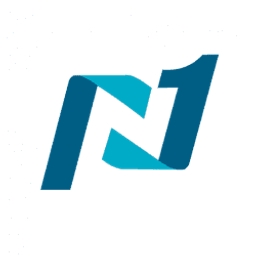 Network 1 Consulting