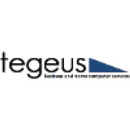Tegeus Computer Services