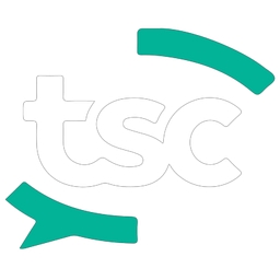 The Security Company