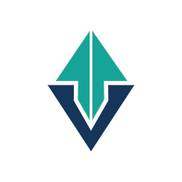 Vector Photonics