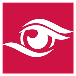 Direct View Solutions