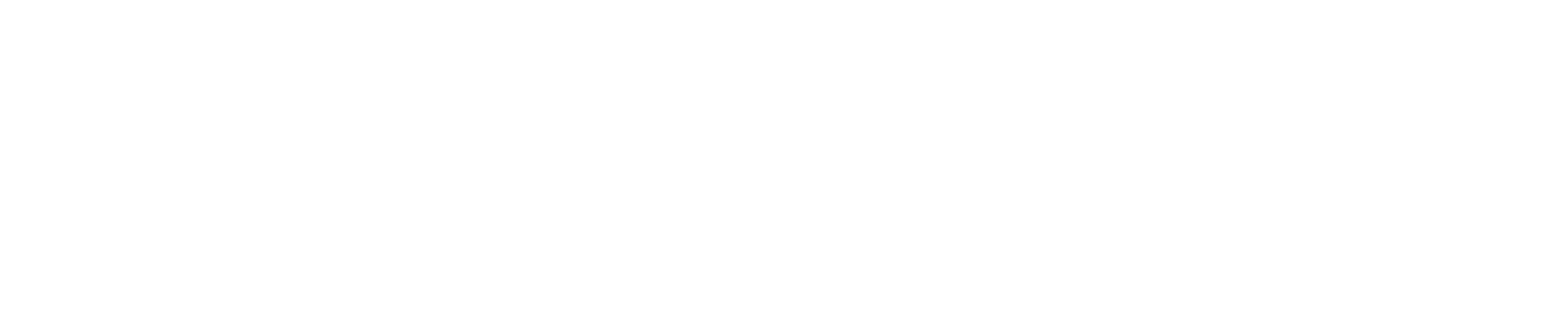 Vostel Ltd