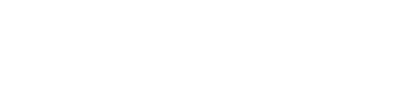 Voyager Software Ltd