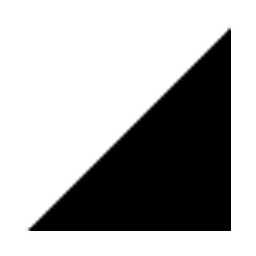 Smart Web Agency