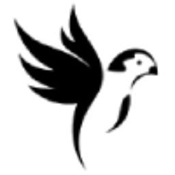Web and App Development Company