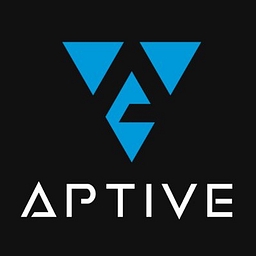 Application Security Testing Company