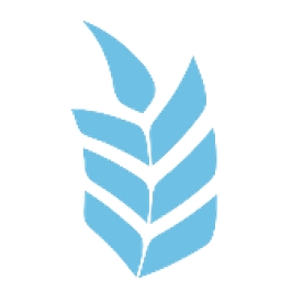 Website Design Falkirk