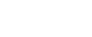 NetApp logo