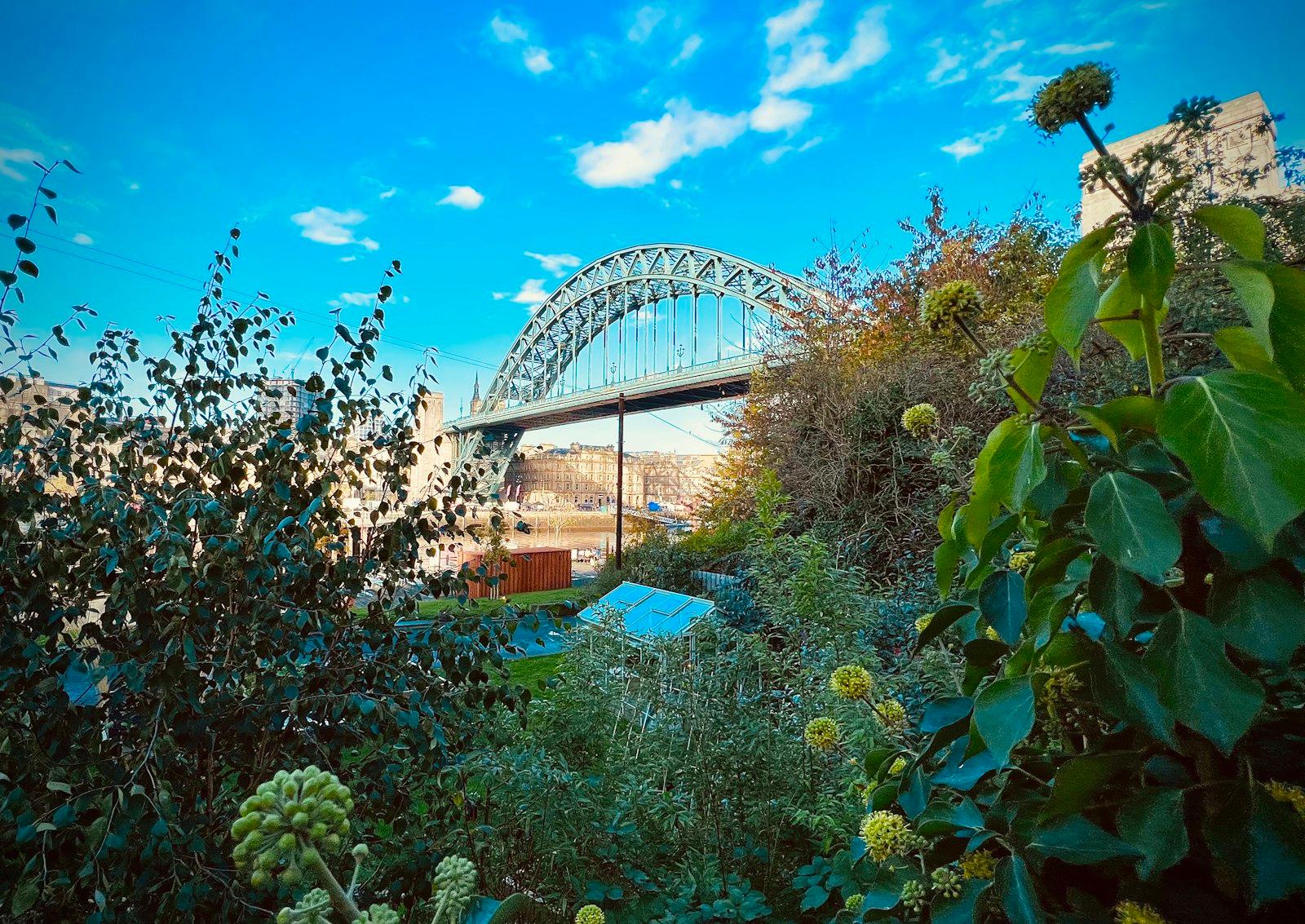 Newcastle skyline