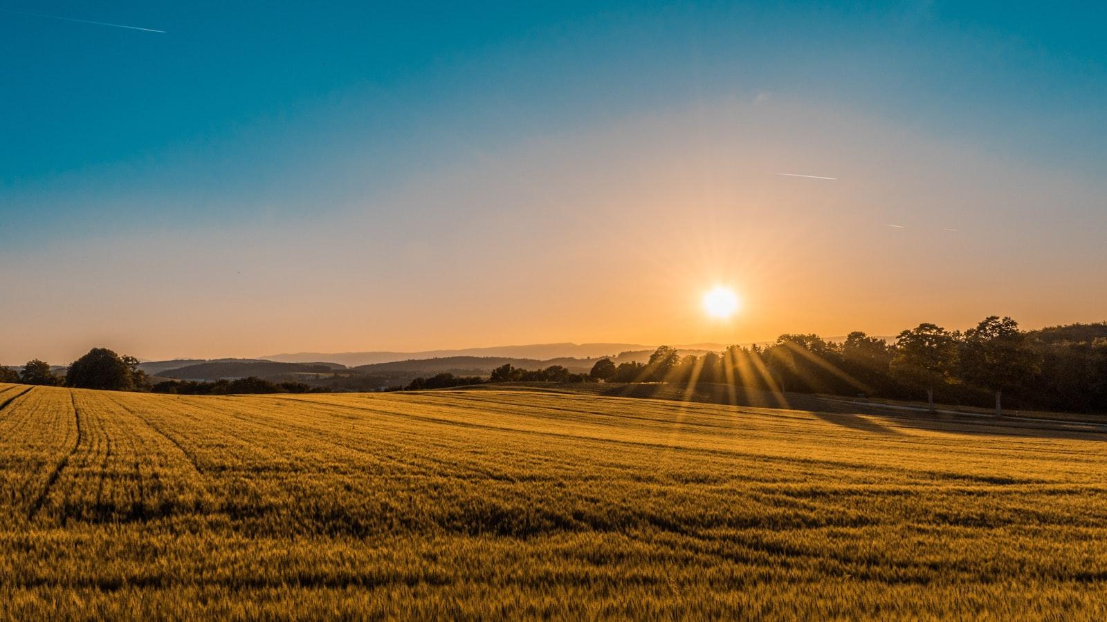 Surrey skyline