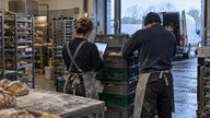 Inside a small British wholesale bakery at early morning dispatch, two staff members seen from behind reconcile stacked delivery crates with an invoice approval screen on a handheld tablet. Stainless