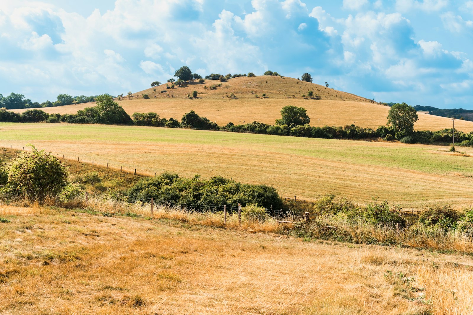 Hertfordshire skyline