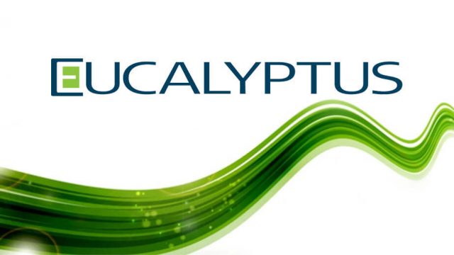 hp_eucalyptus