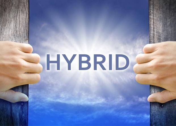 Growth of hybrid