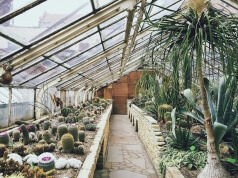 greenhouse-