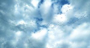 Five Cloud Migration Issues You Shouldn’t Ignore