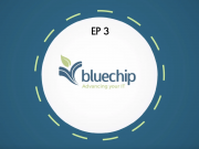 Blue Chip | SAP HANA | EP3